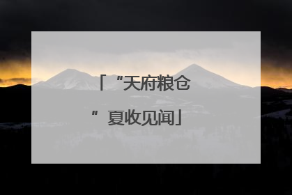 “天府粮仓”夏收见闻